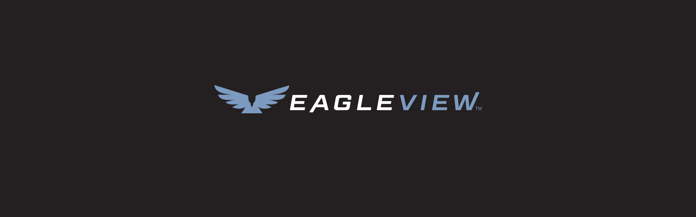 EagleView logo and branding