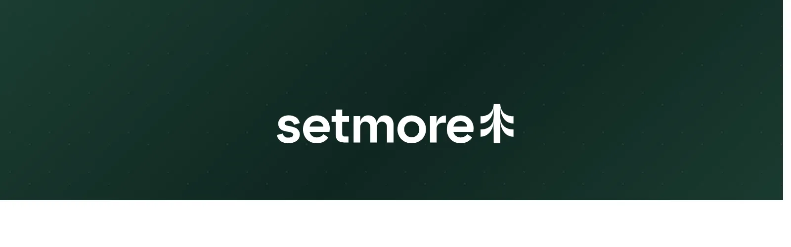 Setmore logo and branding