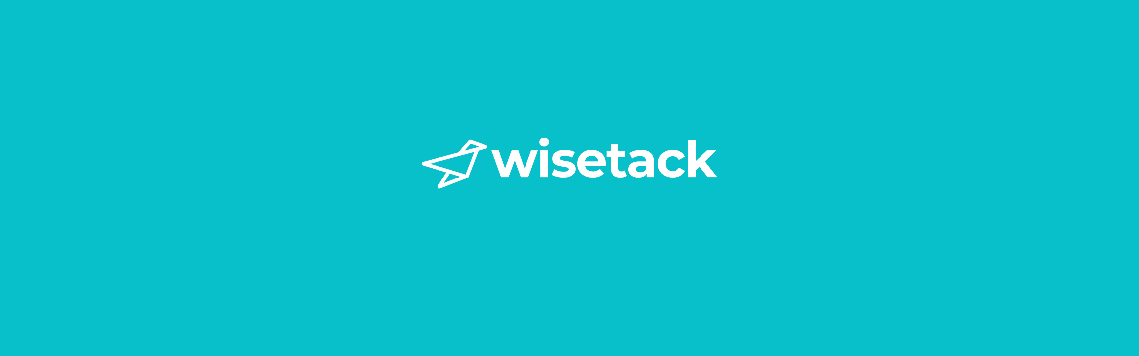 Wisetack logo and branding